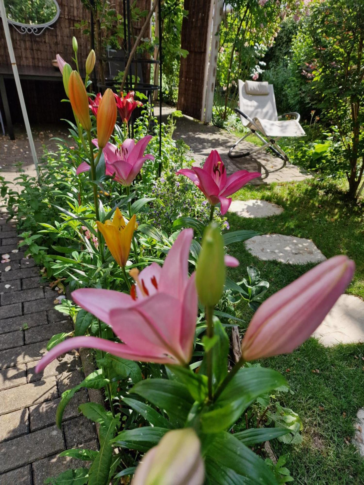 Ferienwohnung Domschatz เนาม์บวร์ก ภายนอก รูปภาพ